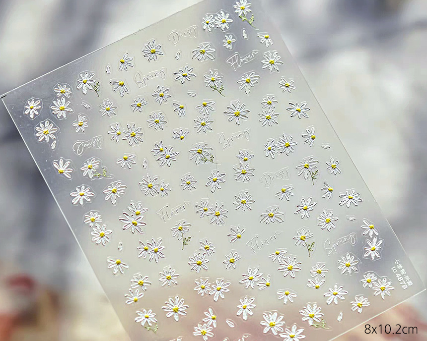 Spring Daisy