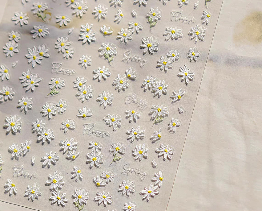 Spring Daisy